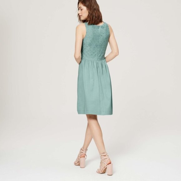 ann loft dresses